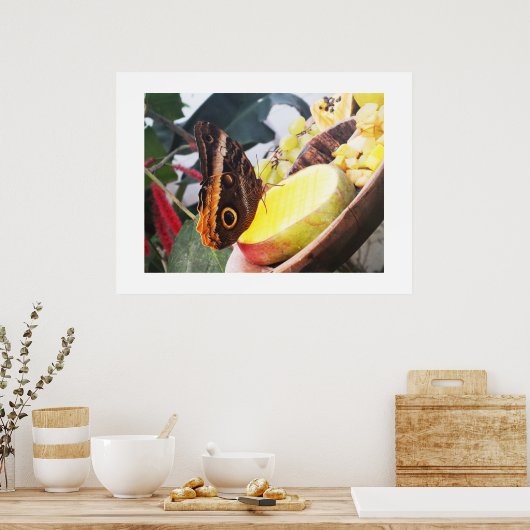 Schmetterling Poster (Küche)