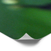 Schmetterling Poster (Ecke)