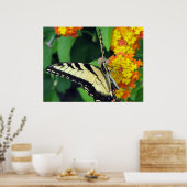 Schmetterling Poster (Küche)