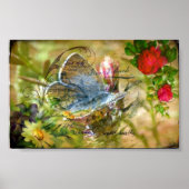 Schmetterling Poster (Vorne)