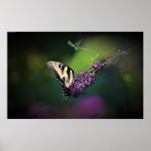 Schmetterling, Poster (Vorne)