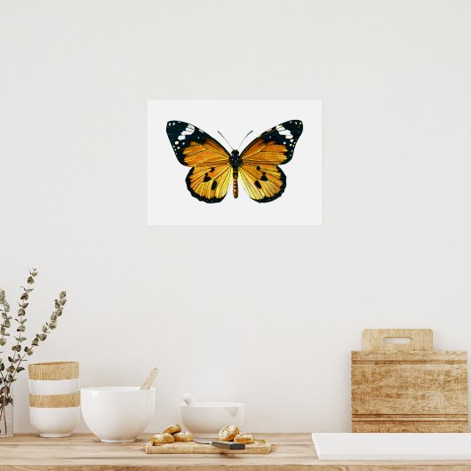 Schmetterling Poster (Küche)