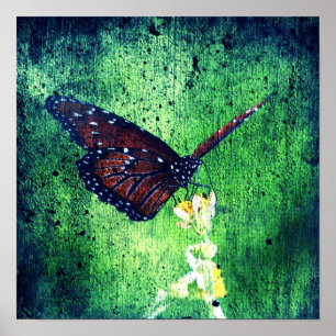 Schmetterling Poster