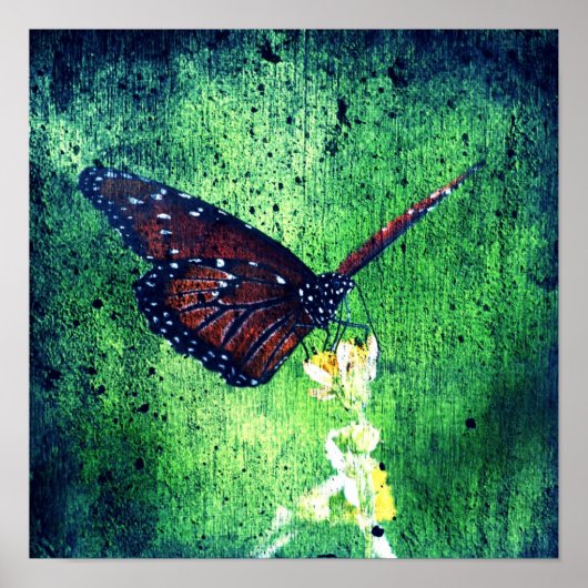 Schmetterling Poster (Vorne)