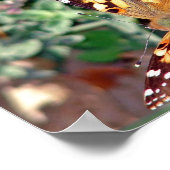 Schmetterling Poster (Ecke)