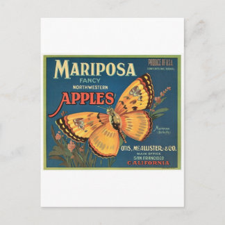 Schmetterling Postkarte