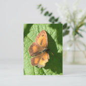 Schmetterling Postkarte (Stehend Vorderseite)