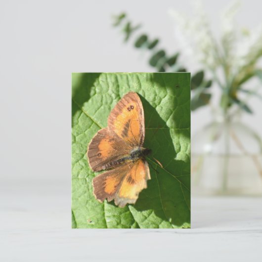 Schmetterling Postkarte (Stehend Vorderseite)