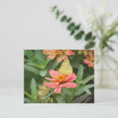 Schmetterling Postkarte (Stehend Vorderseite)