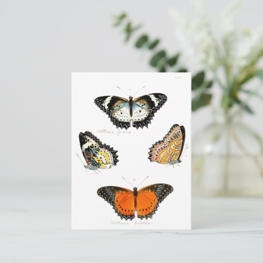 Schmetterling Postkarte (Stehend Vorderseite)