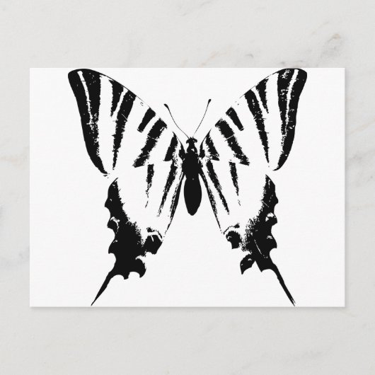 Schmetterling Postkarte (Vorderseite)