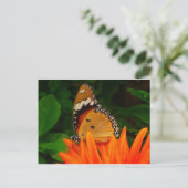 Schmetterling Postkarte (Stehend Vorderseite)