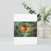 Schmetterling Postkarte (Stehend Vorderseite)