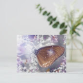 Schmetterling Postkarte (Stehend Vorderseite)