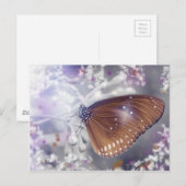 Schmetterling Postkarte (Vorne/Hinten)