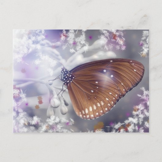 Schmetterling Postkarte (Vorderseite)