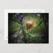 schmetterling postkarte (Vorne/Hinten)