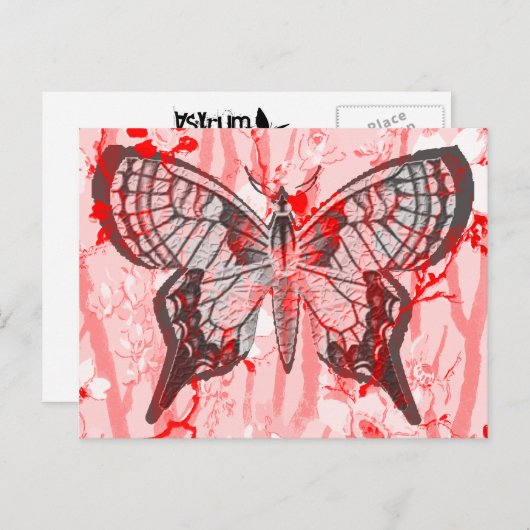 schmetterling. postkarte (Vorne/Hinten)