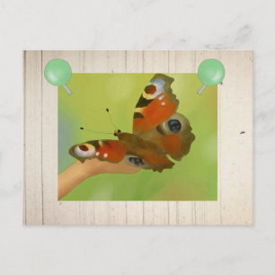Schmetterling Postkarte