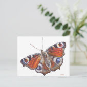Schmetterling Postkarte (Stehend Vorderseite)