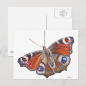 Schmetterling Postkarte (Vorne/Hinten)