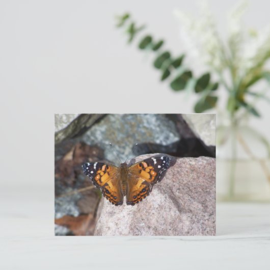 Schmetterling Postkarte (Stehend Vorderseite)