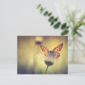 Schmetterling Postkarte (Stehend Vorderseite)