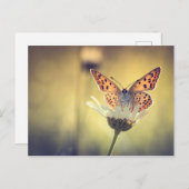 Schmetterling Postkarte (Vorne/Hinten)