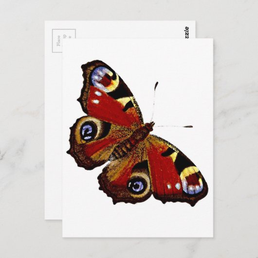 Schmetterling Postkarte (Vorne/Hinten)