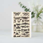 Schmetterling Postkarte (Stehend Vorderseite)