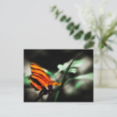 Schmetterling Postkarte (Stehend Vorderseite)