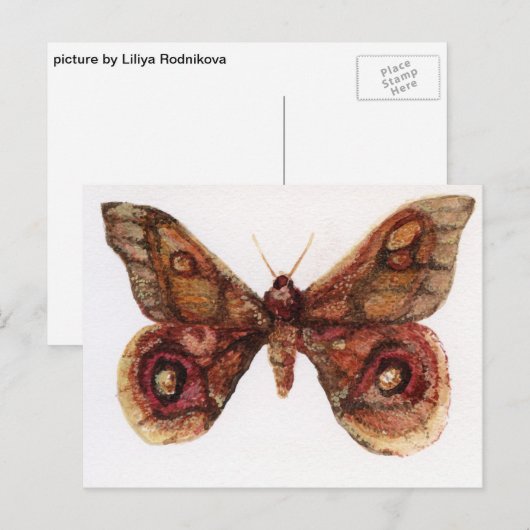 Schmetterling Postkarte (Vorne/Hinten)