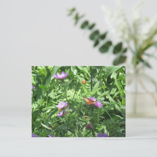 Schmetterling Postkarte (Stehend Vorderseite)