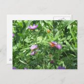 Schmetterling Postkarte (Vorne/Hinten)