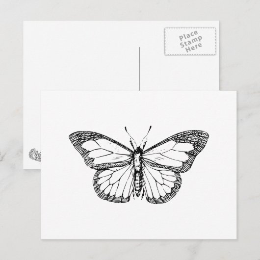 Schmetterling Postkarte (Vorne/Hinten)