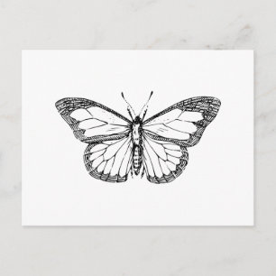 Schmetterling Postkarte