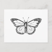 Schmetterling Postkarte (Vorderseite)