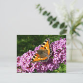 Schmetterling Postkarte (Stehend Vorderseite)