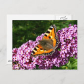 Schmetterling Postkarte (Vorne/Hinten)