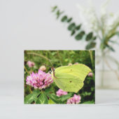 Schmetterling Postkarte (Stehend Vorderseite)