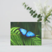 Schmetterling Postkarte (Stehend Vorderseite)