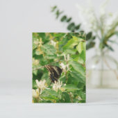 Schmetterling Postkarte (Stehend Vorderseite)