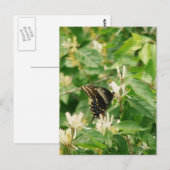 Schmetterling Postkarte (Vorne/Hinten)