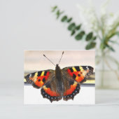 Schmetterling. Postkarte (Stehend Vorderseite)