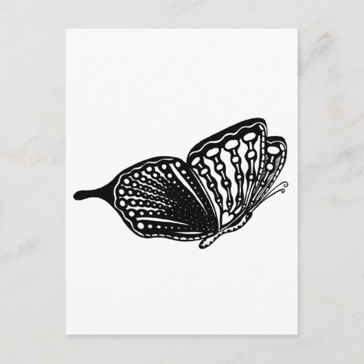 Schmetterling Postkarte (Vorderseite)