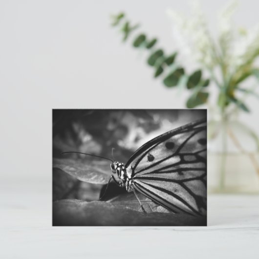 Schmetterling Postkarte (Stehend Vorderseite)