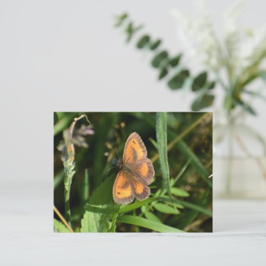 Schmetterling Postkarte (Stehend Vorderseite)