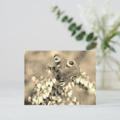 Schmetterling Postkarte (Stehend Vorderseite)
