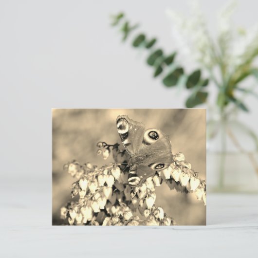 Schmetterling Postkarte (Stehend Vorderseite)