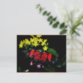 Schmetterling Postkarte (Stehend Vorderseite)